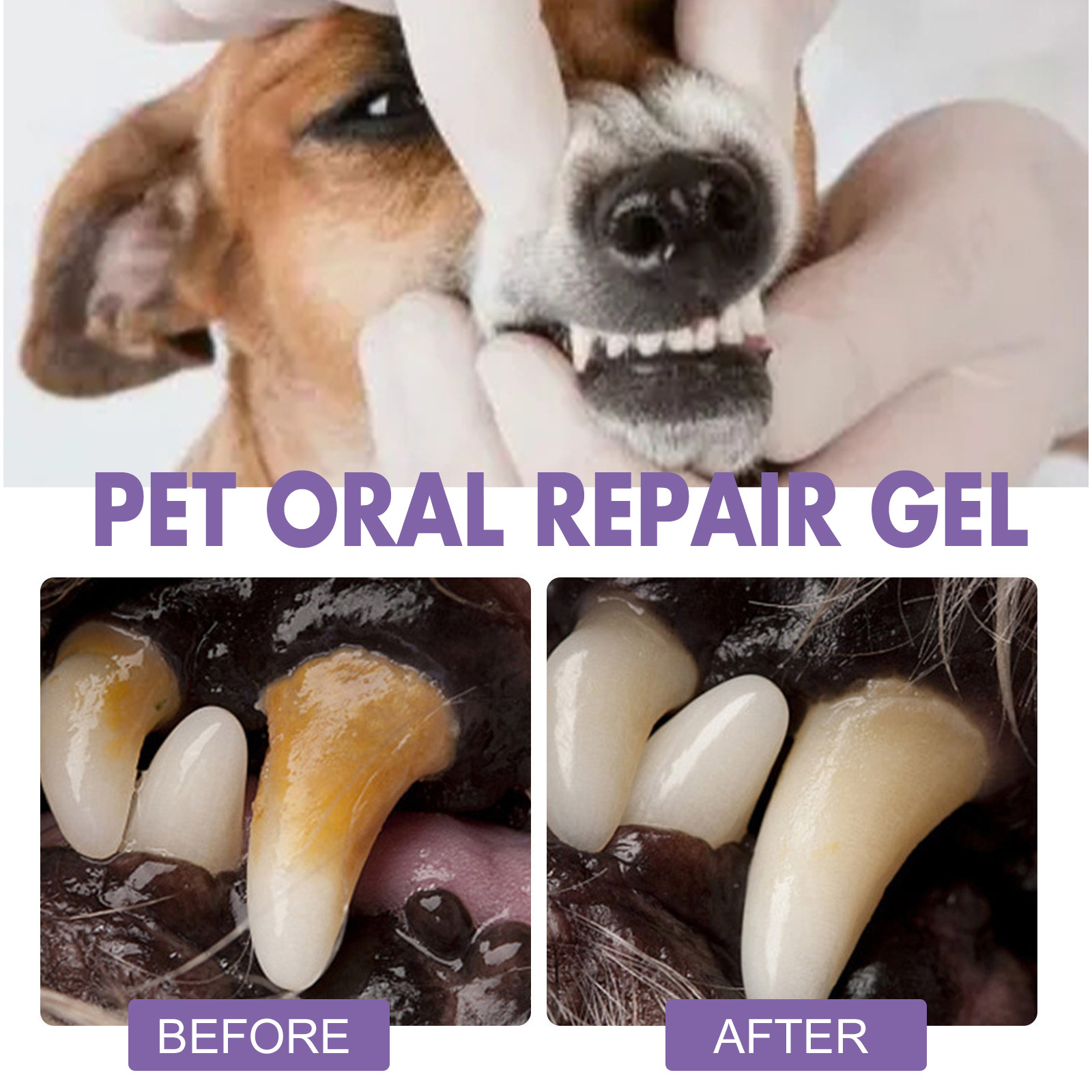 Pet Oral Repair Gel Puppy Tart - Teeth Whitening Essence ulasan dan harga