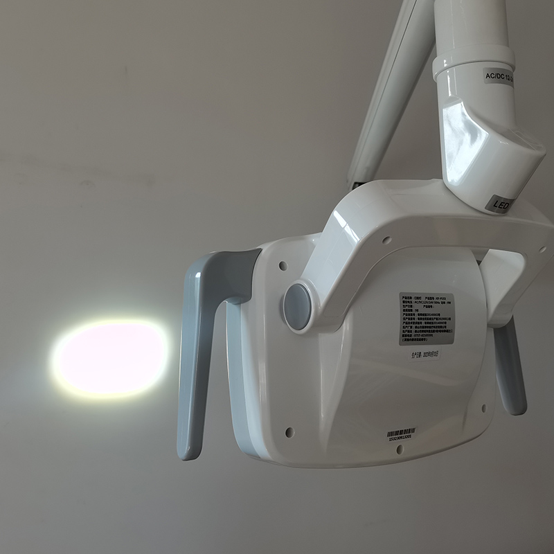 6LED Dental LED Lamp Oral Ligh - Teeth Whitening Led ulasan dan harga